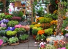 Flower Market in Les Houches
