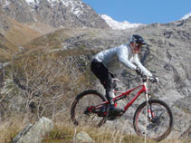 Peakpowder Summer