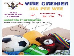 Vide Grenier Pee Wee